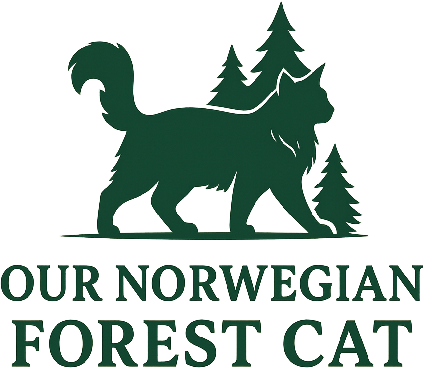 ournorwegianforestcat.com